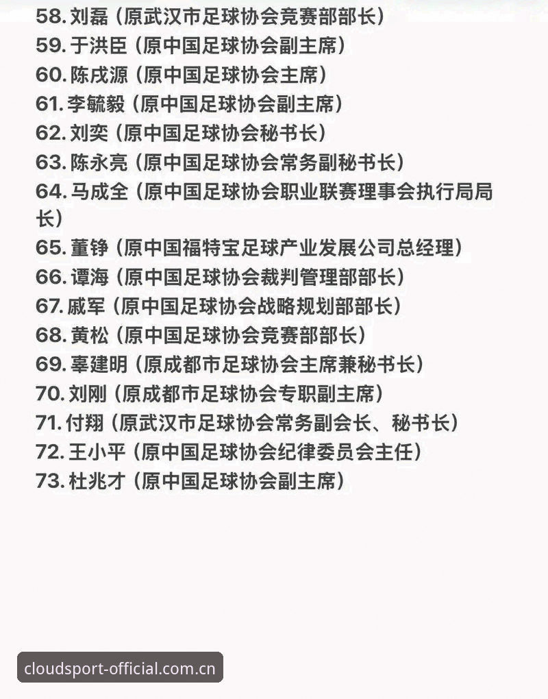 17人终身禁赛、48人遭重罚：中国足协第三批禁足名单深度解析