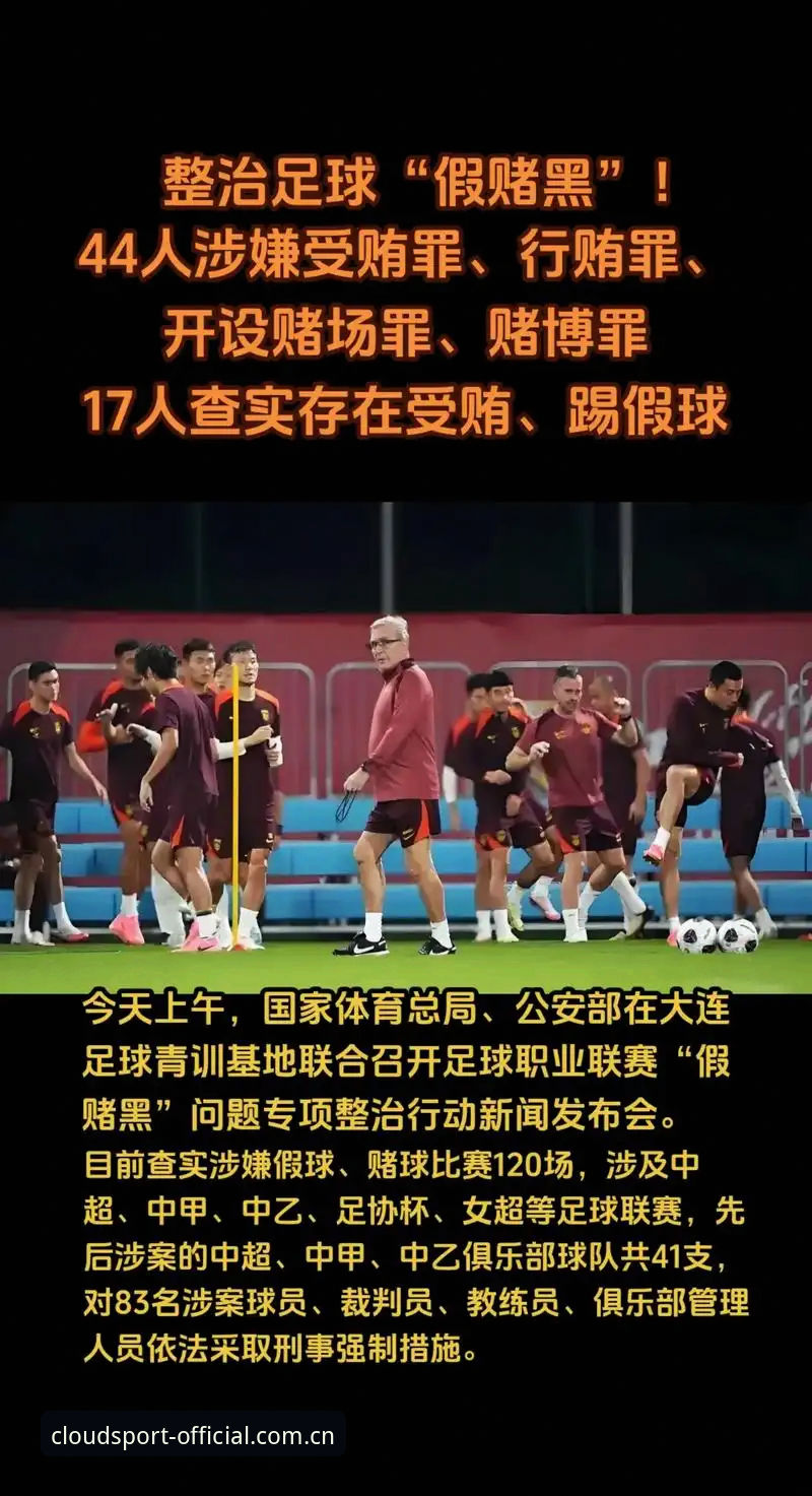足协禁足名单终身禁赛与五年处罚对比：云体育平台数据拆解哪类处罚更具震慑力